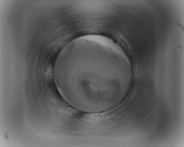 X0000100400029200806271431