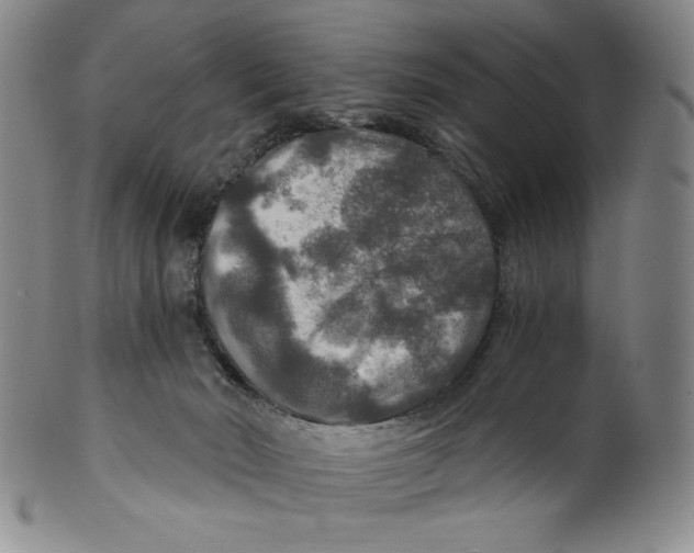 X0000100400030200806271431