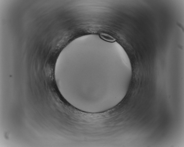 X0000100400031200806271431