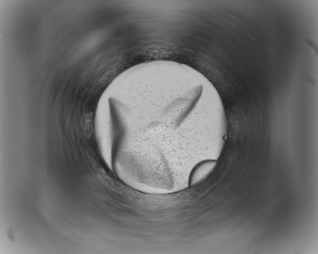 X0000100400034200806271431