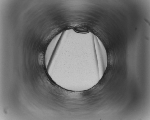 X0000100400036200806271431