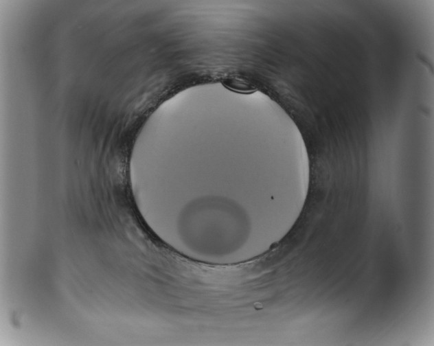 X0000100400039200806271430