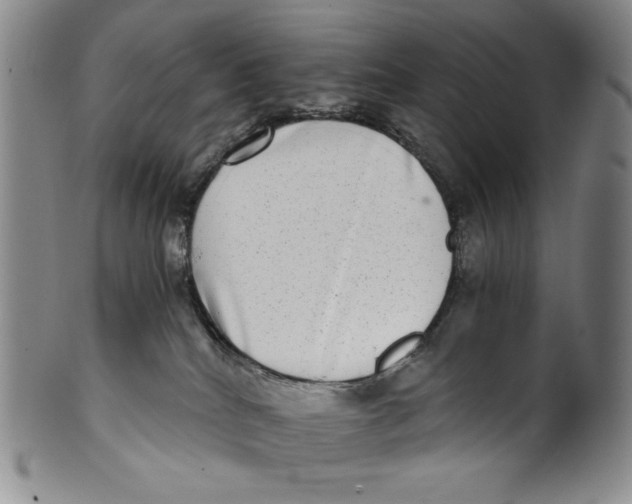 X0000100400040200806271430