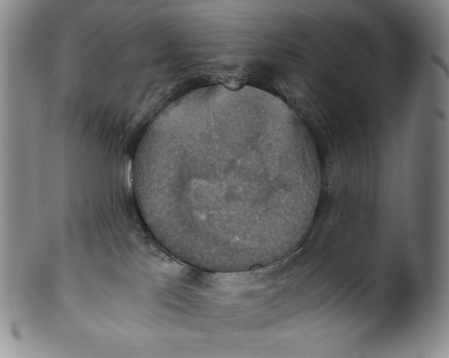 X0000100400041200806271430