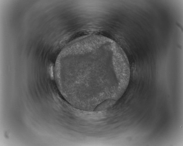 X0000100400042200806271430