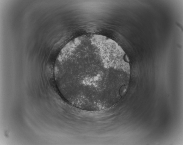 X0000100400043200806271430