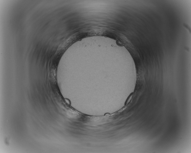 X0000100400045200806271430
