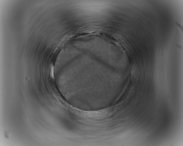 X0000100400046200806271430