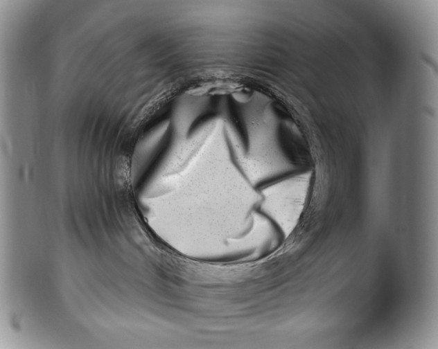 X0000100400048200806271430