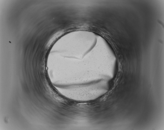 X0000100400054200806271430