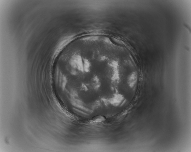 X0000100400055200806271430