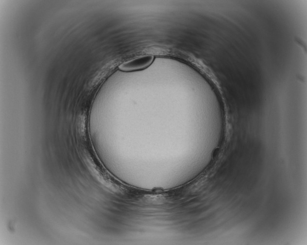 X0000100400057200806271430