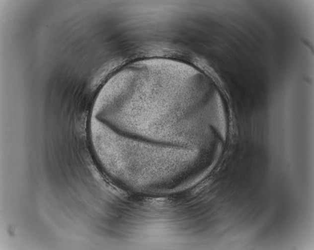 X0000100400058200806271430