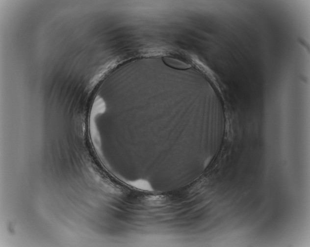 X0000100400059200806271430