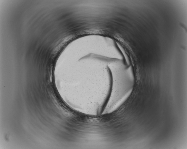 X0000100400062200806271430