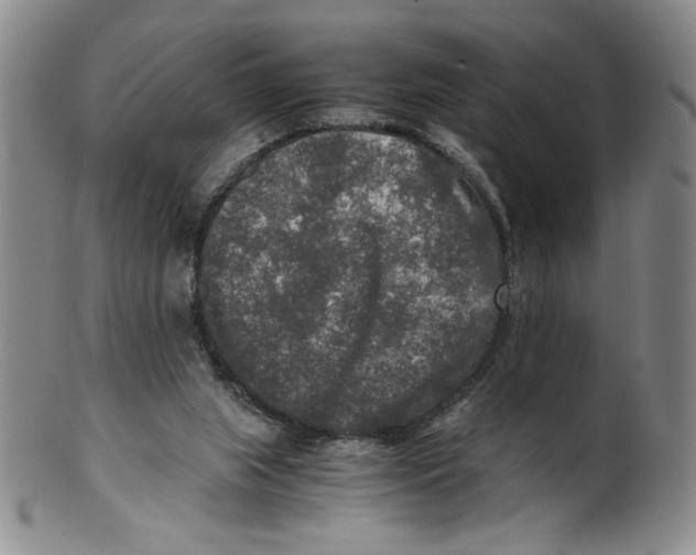 X0000100400063200806271430