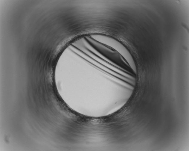 X0000100400064200806271430