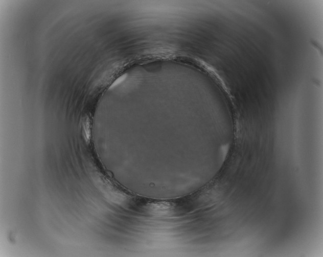 X0000100400069200806271430