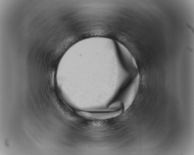 X0000100400070200806271430