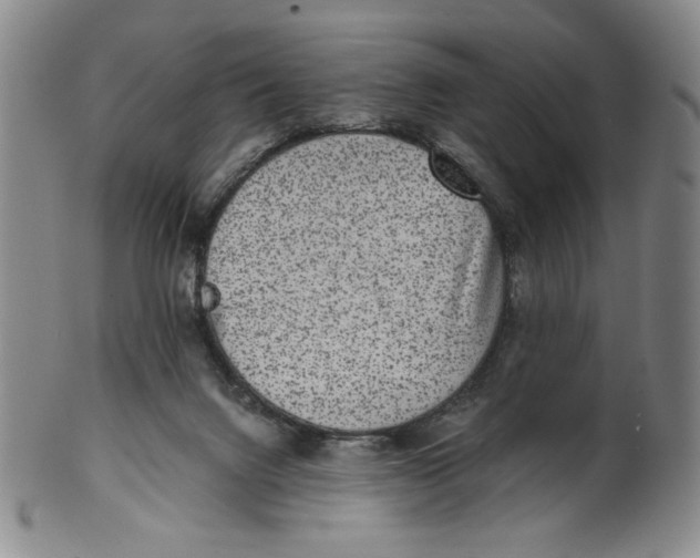 X0000100400072200806271430