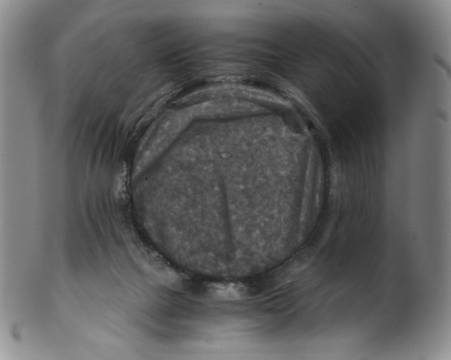 X0000100400073200806271430