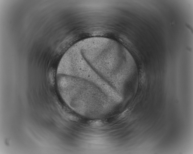 X0000100400074200806271430