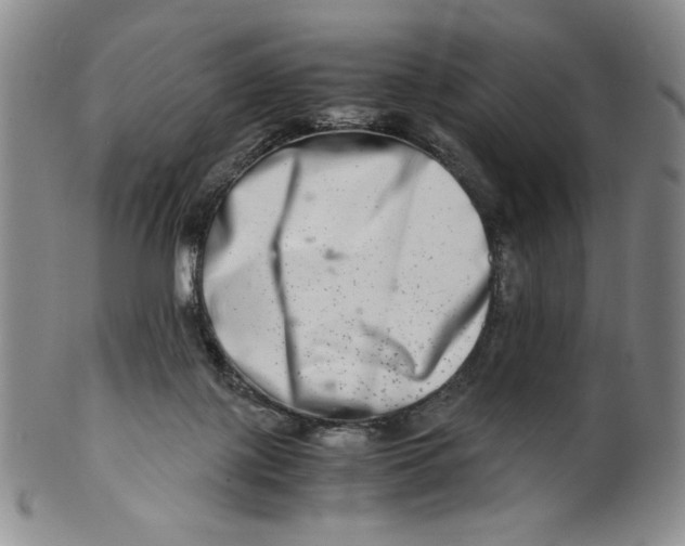 X0000100400075200806271430