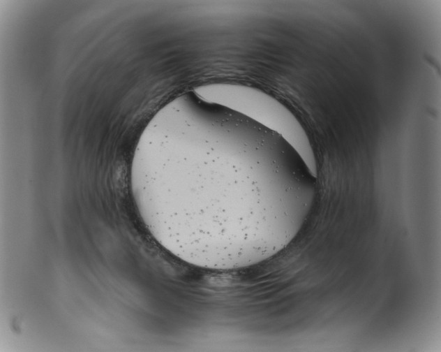 X0000100400079200806271430