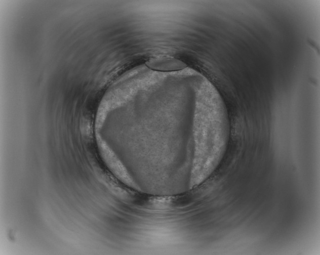 X0000100400084200806271430