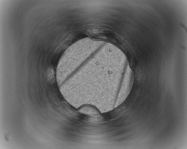 X0000100400087200806271430