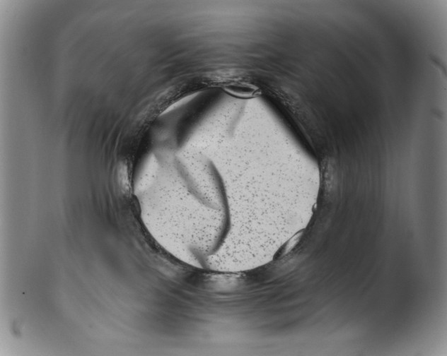 X0000100400089200806271430