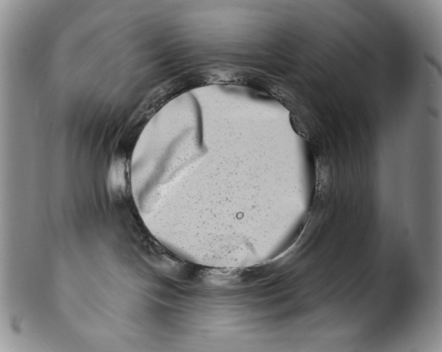 X0000100400094200806271430