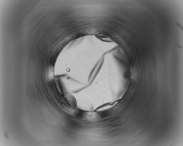 X0000100400095200806271430