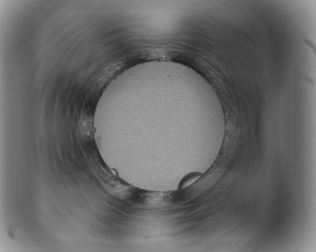 X0000100400096200806271430
