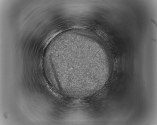 X0000100400098200806271430