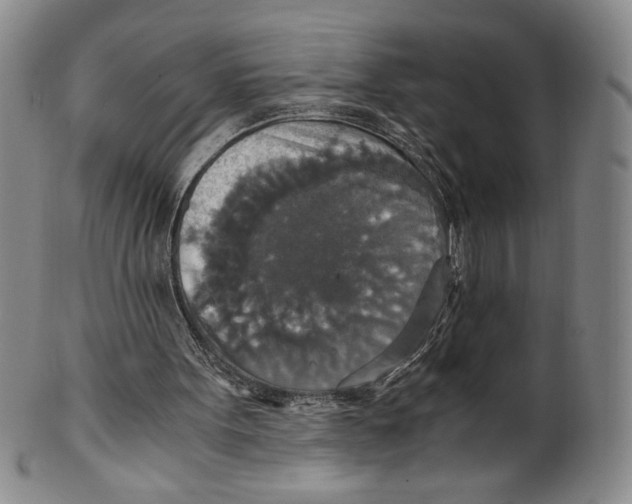X0000100400099200806271430