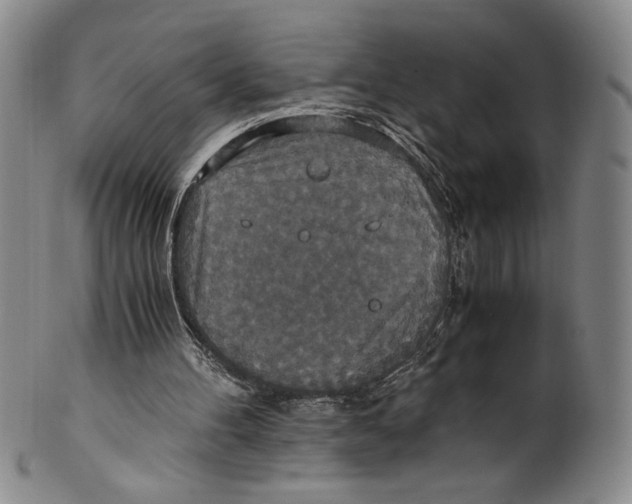 X0000100400100200806271430