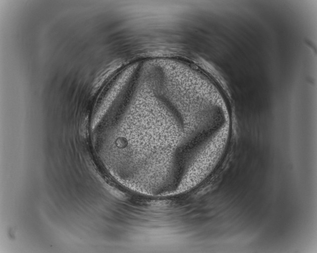 X0000100400105200806271430