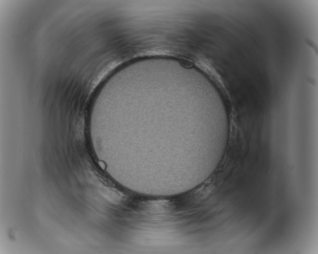 X0000100400108200806271430