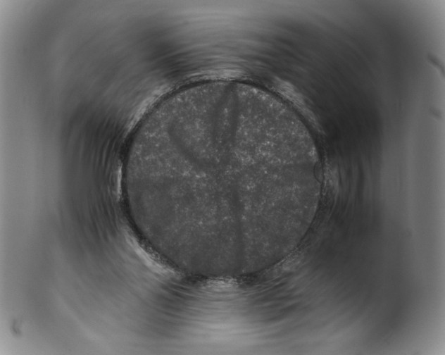 X0000100400110200806271429