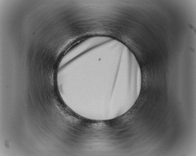 X0000100400112200806271429