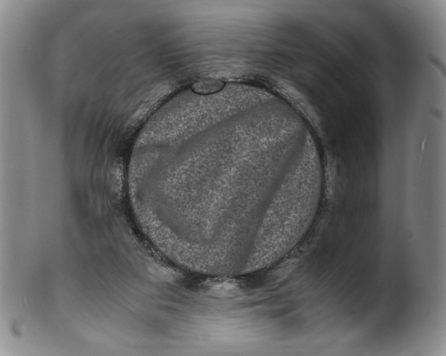 X0000100400113200806271429