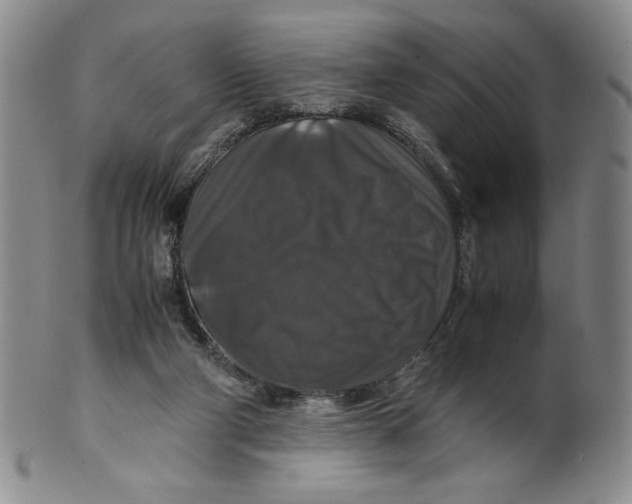 X0000100400114200806271429