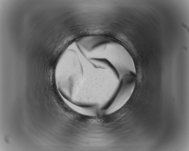 X0000100400115200806271429