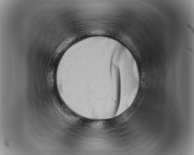 X0000100400116200806271429