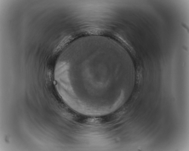 X0000100400117200806271429