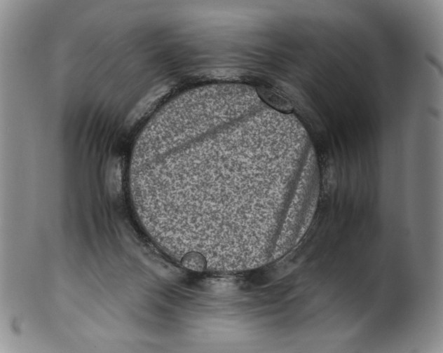 X0000100400120200806271429