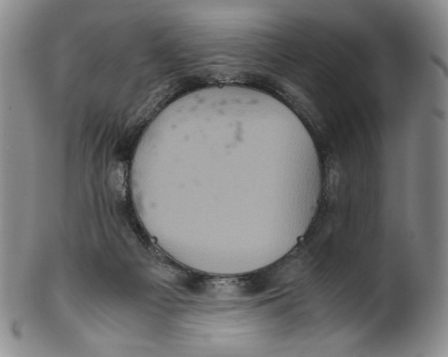 X0000100400121200806271429