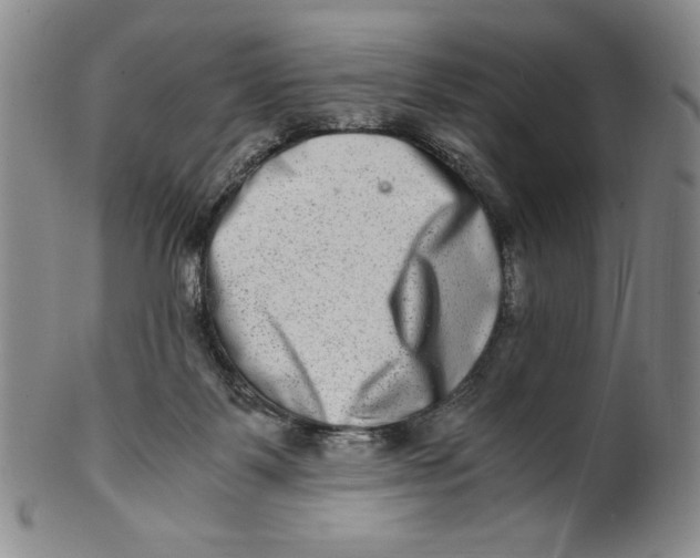 X0000100400123200806271429