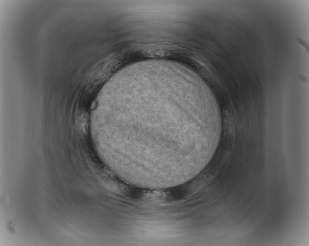 X0000100400125200806271429